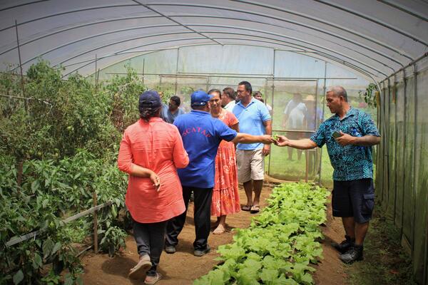 image of SCATAP provide training to Vegetable Model Farmers